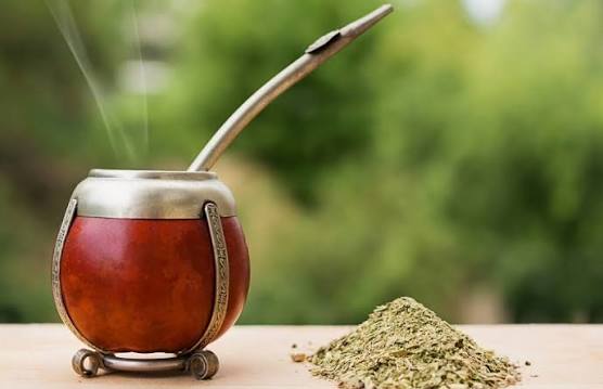 Hojas seleccionadas de yerba mate